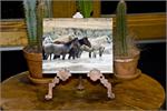 Cooling Off 8x10 Ceramic Tile